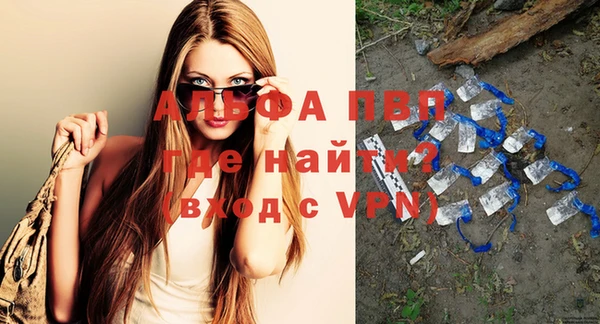 стафф Заводоуковск