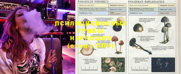 COCAINE Дмитриев