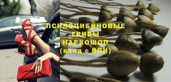 метамфетамин Ельня