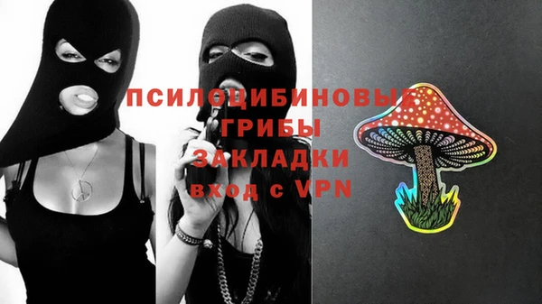 стафф Заводоуковск