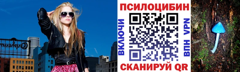 Галлюциногенные грибы Cubensis  Купить  Тавда 