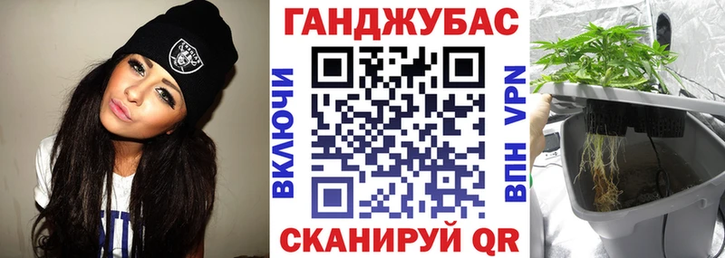 Шишки марихуана план  Купить  Тавда 